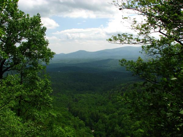 Mountain landscape viewed through trees