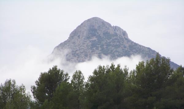 Mountain Mist