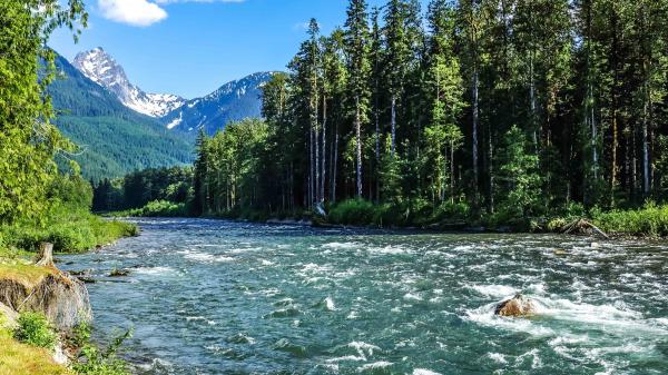 Mountain river cascade