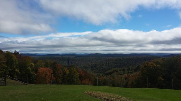 Mountain Top View