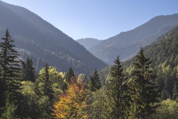 Mountainous