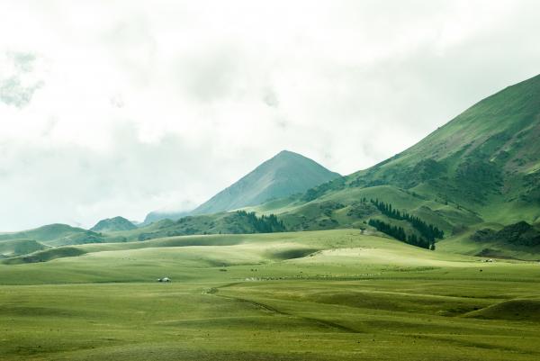 Mountainous