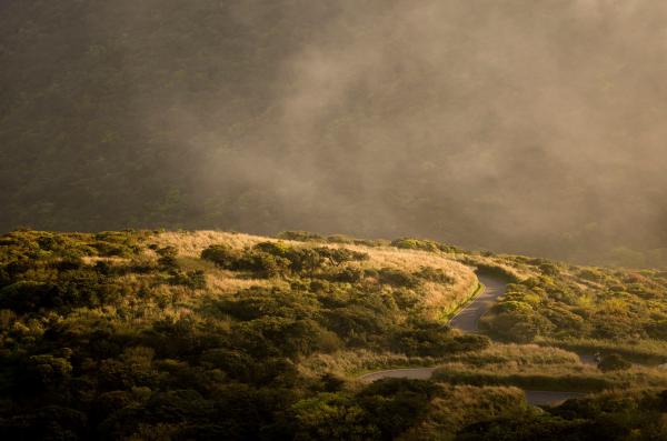 Mountainous Road