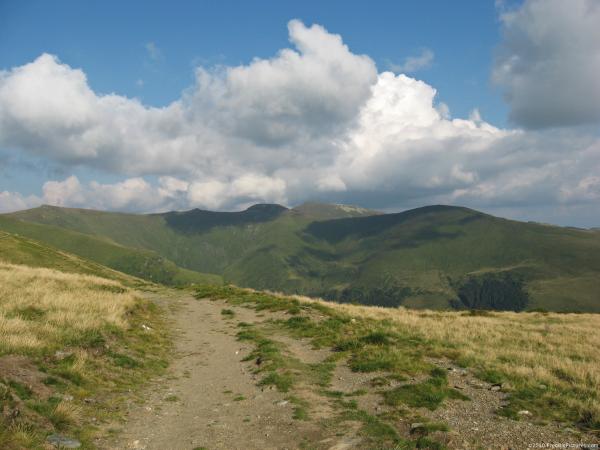 Moutain trail