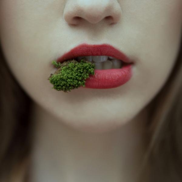 Mouth