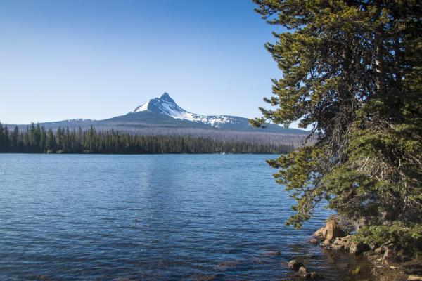 Mt. Washington viewed from Big Lake, Oregon