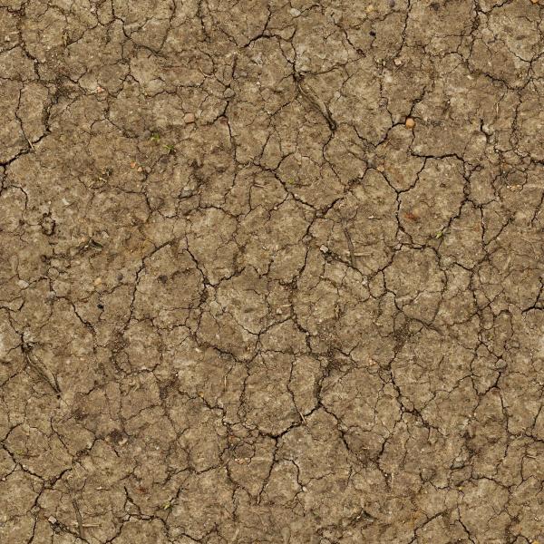 Muddy Soil Texture