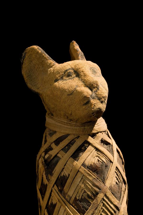 Mummy