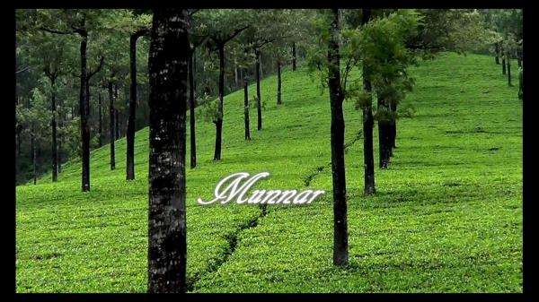 Munnar Hill Station