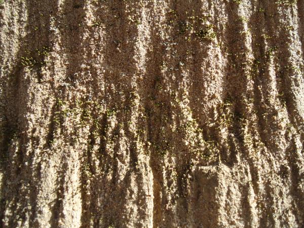 Musgo e areia