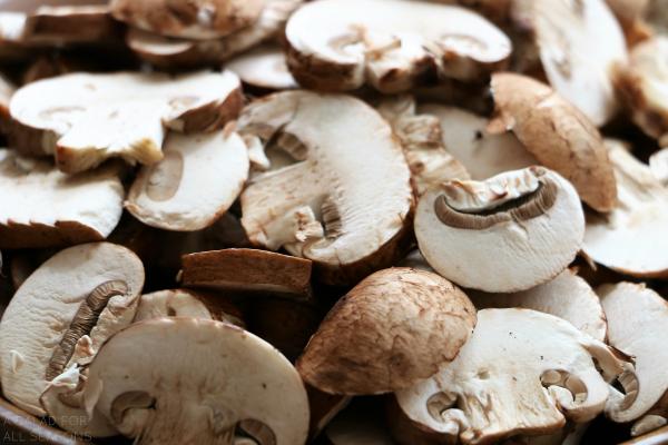 Mushroom