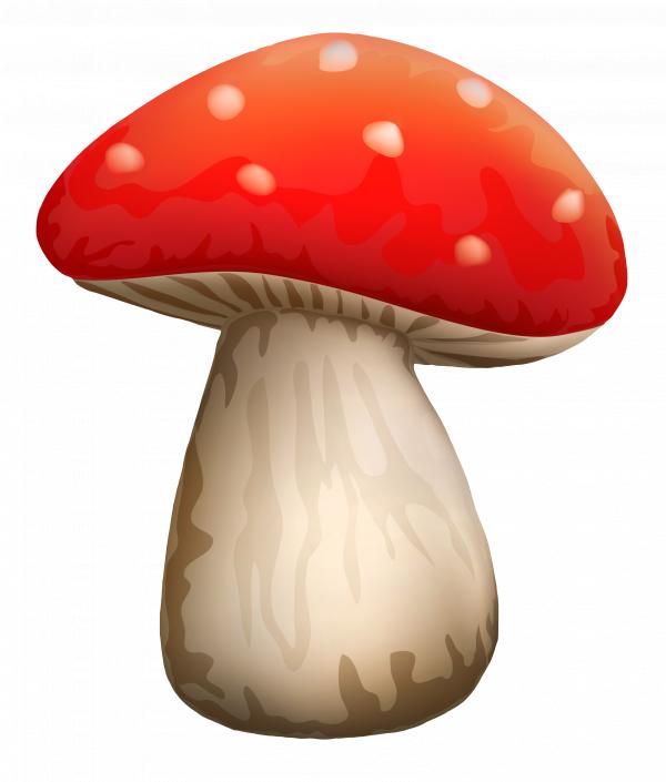Red Mushroom