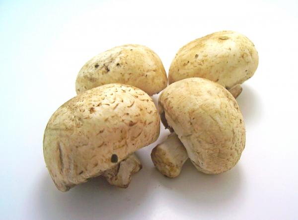 Mushrooms