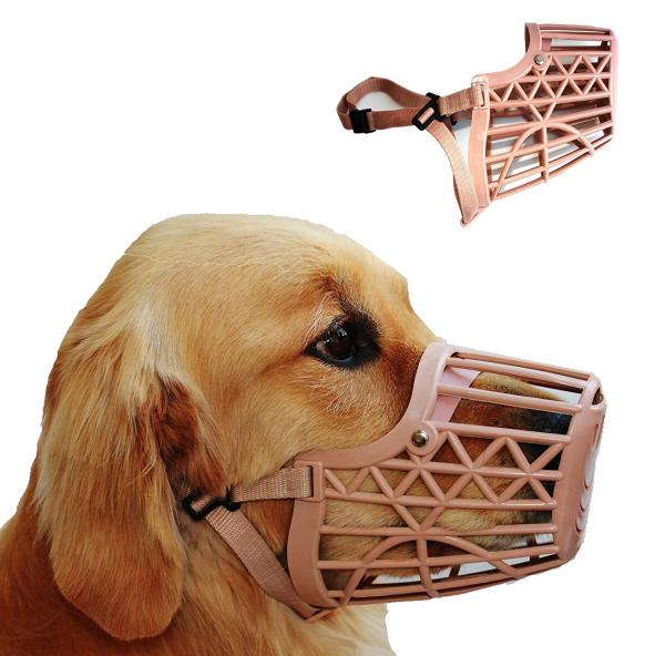 Muzzled dog