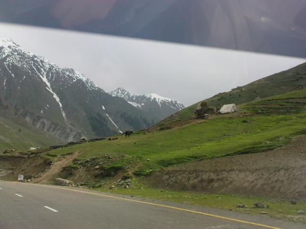 My Trip