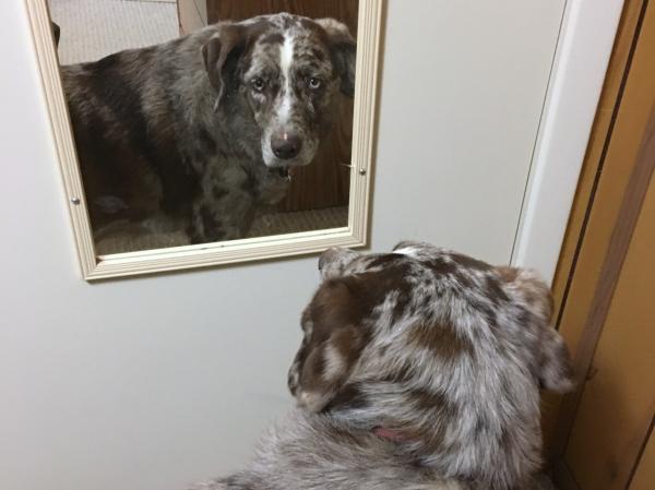 My, Who is That Handsome Fellow?