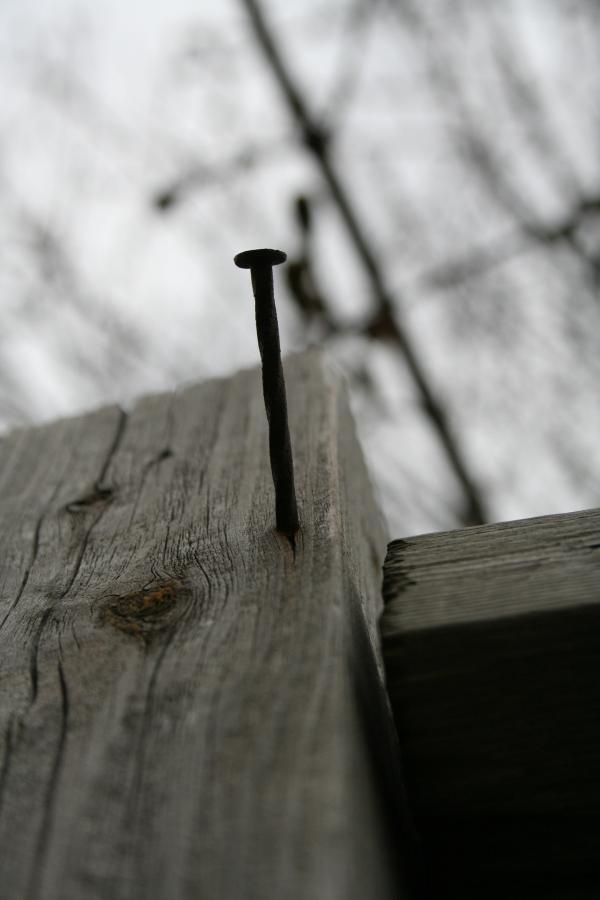 Nail in wooden board