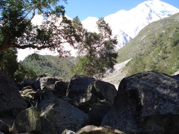 Nanga parbat