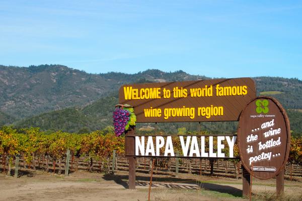 Napa in November