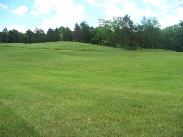 Natural Beauty of Hidden Lake Gardens