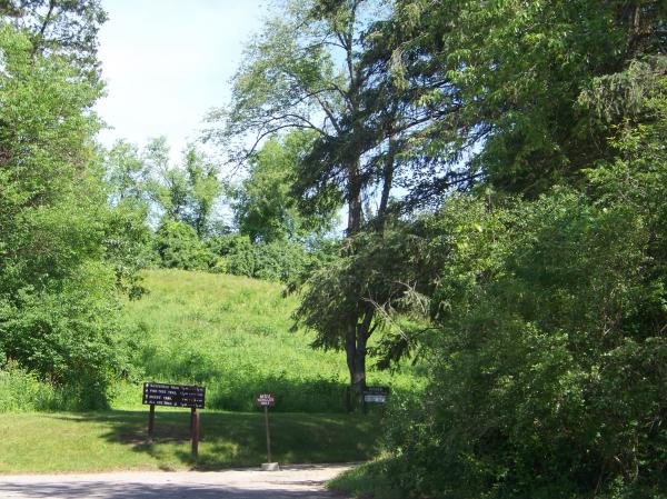 Natural Beauty of Hidden Lake Gardens