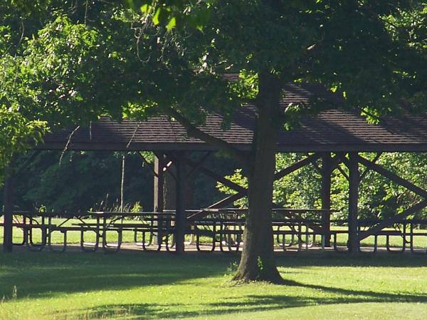 Natural Beauty of Hidden Lake Gardens