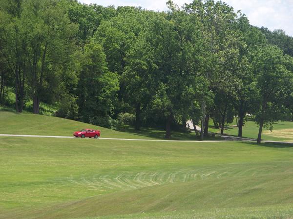 Natural Beauty of Hidden Lake Gardens