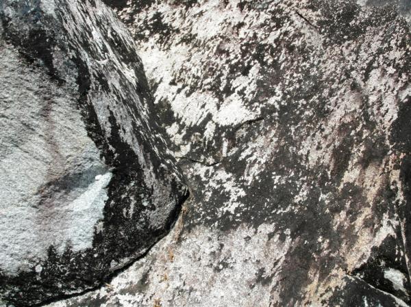 Natural Rock Background / Texture