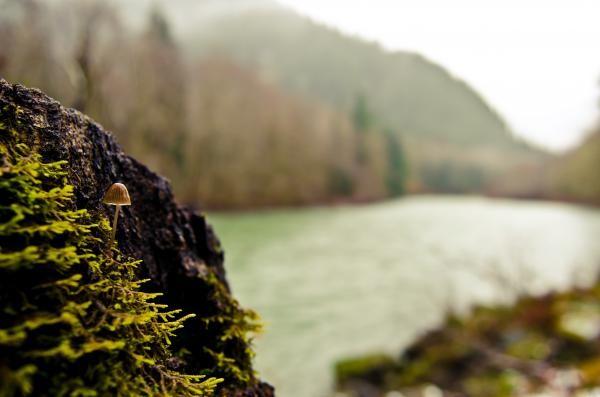 Nature