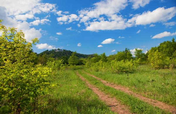 Nature