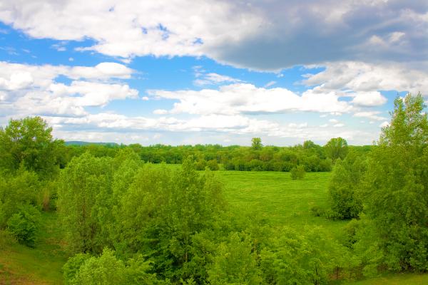 nature