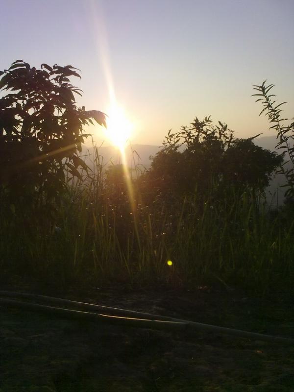 Nature