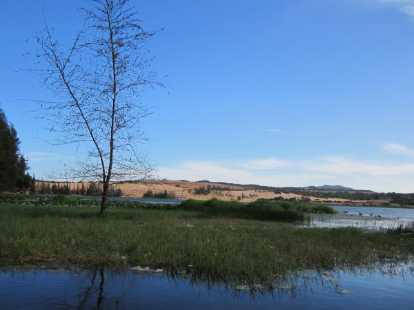 Nature