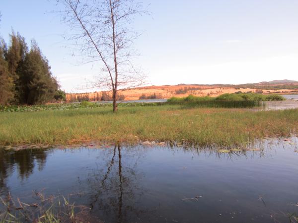 Nature