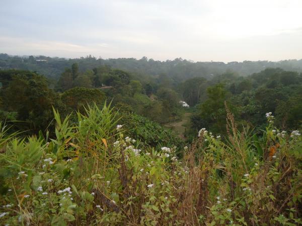 Nature