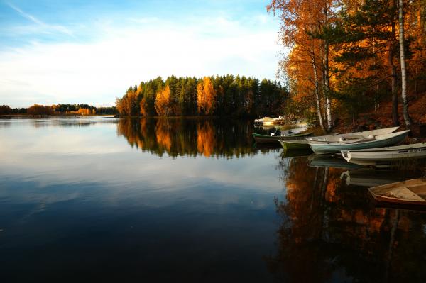 Nature