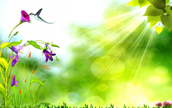 Nature background