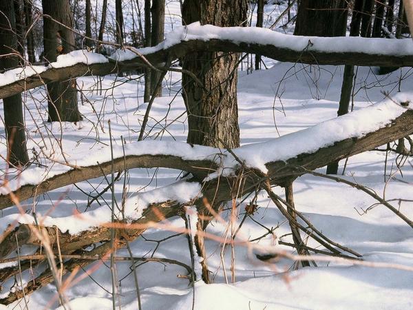 Nature at its best