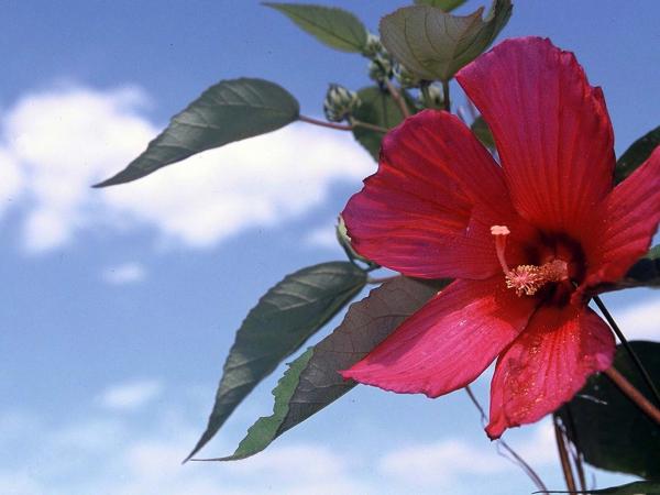 Nature at its best