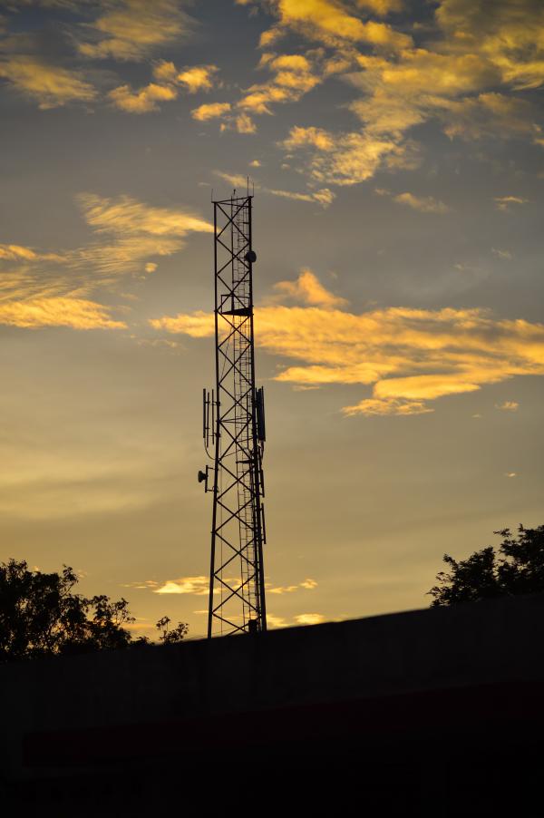Nature at Morning