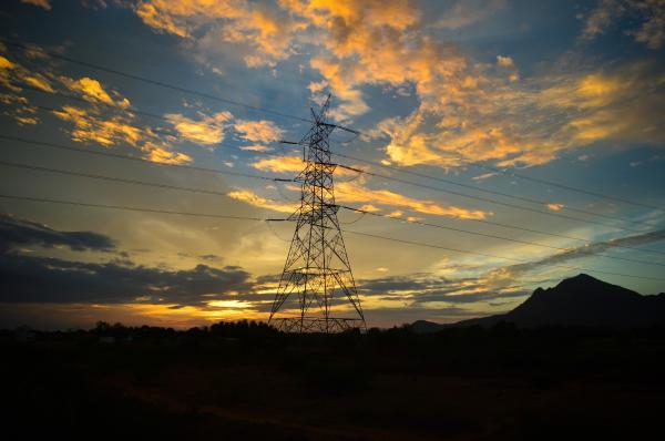 Nature at Morning