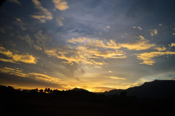 Nature at Morning