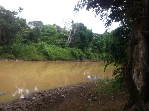 Nature in Beng Lake