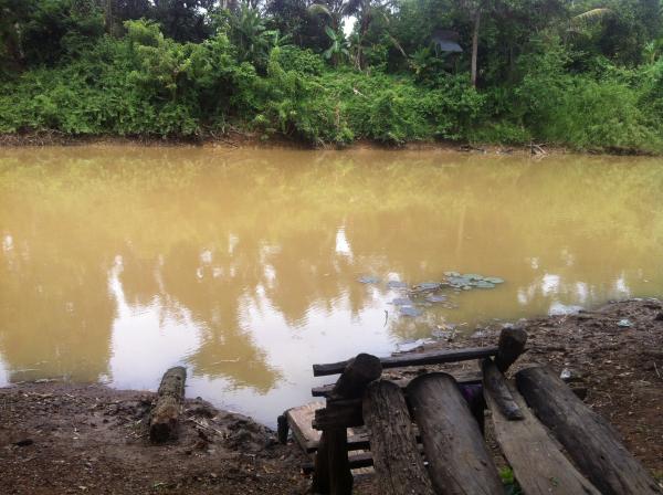 Nature in Beng Lake