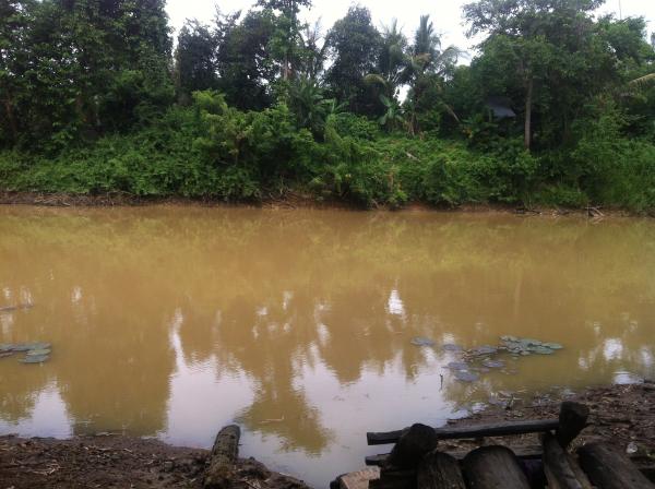 Nature in Beng Lake