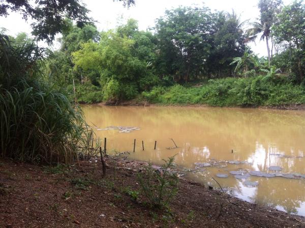 Nature in Beng Lake