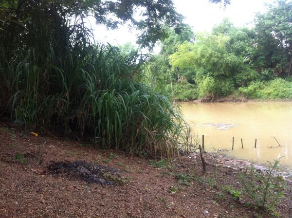 Nature in Beng Lake