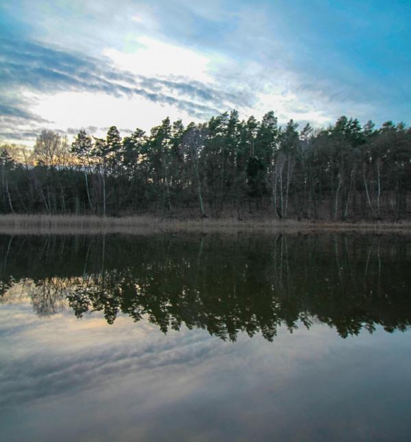 Nature Lake Brandenburg