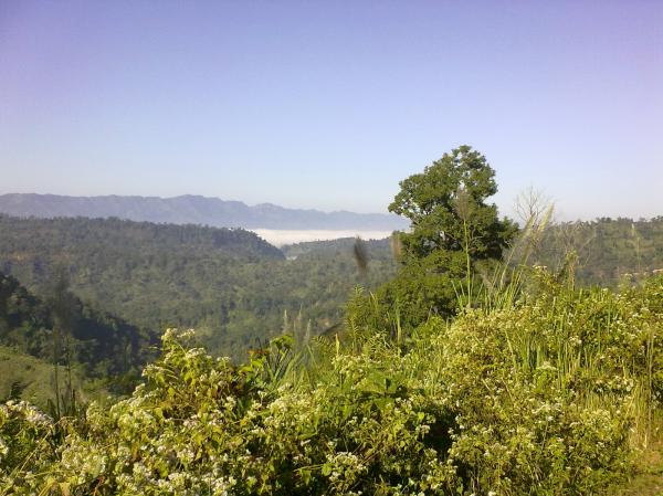 Nature landscape
