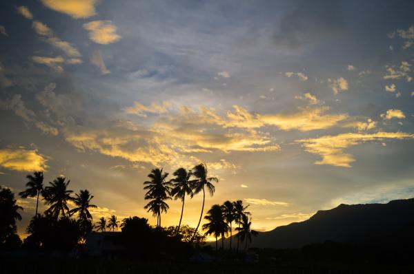 Nature @ Morning